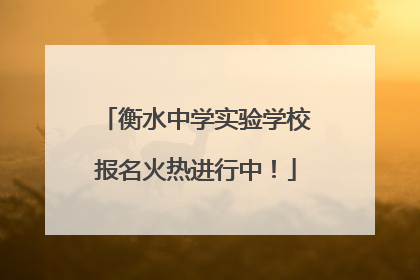 衡水中学实验学校报名火热进行中！