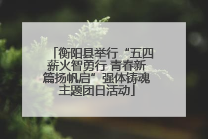 衡阳县举行“五四薪火智勇行 青春新篇扬帆启”强体铸魂主题团日活动