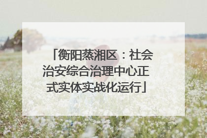 衡阳蒸湘区：社会治安综合治理中心正式实体实战化运行