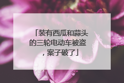 装有西瓜和蒜头的三轮电动车被盗，案子破了