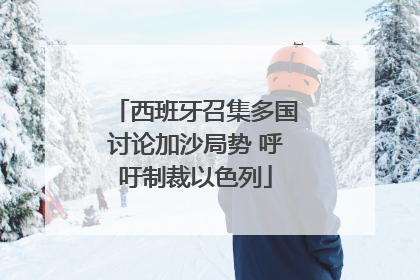 西班牙召集多国讨论加沙局势 呼吁制裁以色列
