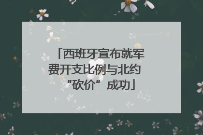 西班牙宣布就军费开支比例与北约“砍价”成功
