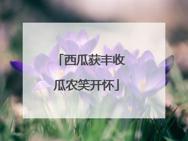 西瓜获丰收 瓜农笑开怀
