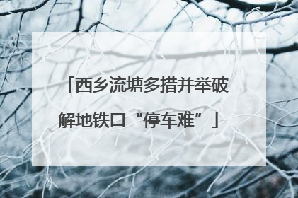 西乡流塘多措并举破解地铁口“停车难”