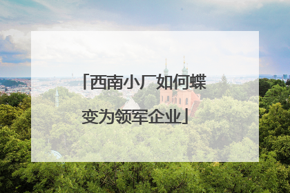 西南小厂如何蝶变为领军企业