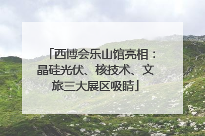 西博会乐山馆亮相：晶硅光伏、核技术、文旅三大展区吸睛
