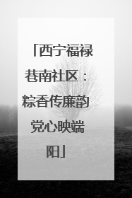 西宁福禄巷南社区：粽香传廉韵 党心映端阳