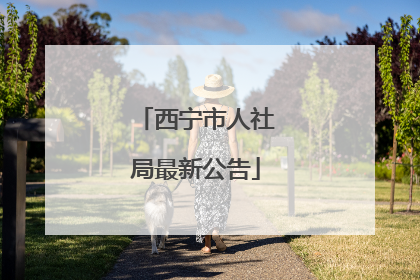 西宁市人社局最新公告