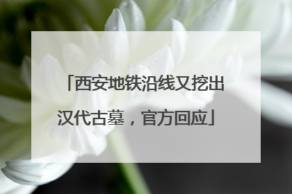 西安地铁沿线又挖出汉代古墓，官方回应