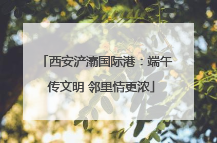 西安浐灞国际港：端午传文明 邻里情更浓