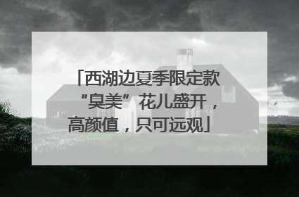 西湖边夏季限定款“臭美”花儿盛开，高颜值，只可远观