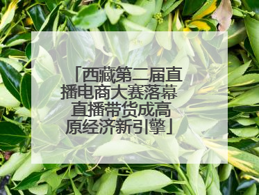 西藏第二届直播电商大赛落幕 直播带货成高原经济新引擎