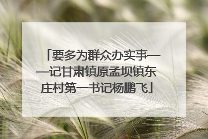 要多为群众办实事——记甘肃镇原孟坝镇东庄村第一书记杨鹏飞