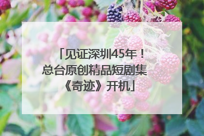 见证深圳45年！总台原创精品短剧集《奇迹》开机