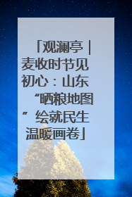 观澜亭｜麦收时节见初心：山东“晒粮地图”绘就民生温暖画卷