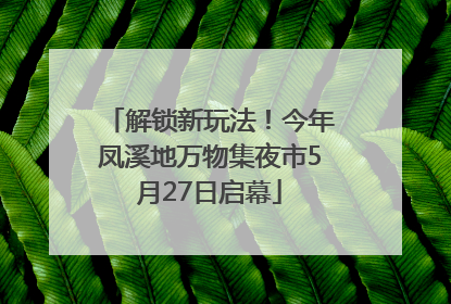 解锁新玩法！今年凤溪地万物集夜市5月27日启幕