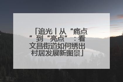 追光丨从“痛点”到“亮点”：看文昌街道如何绣出村居发展新图景