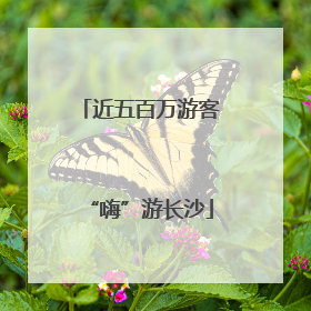 近五百万游客“嗨”游长沙