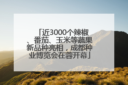 近3000个辣椒、番茄、玉米等蔬果新品种亮相，成都种业博览会在蓉开幕