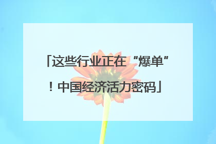 这些行业正在“爆单”！中国经济活力密码