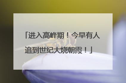 进入高峰期！今早有人追到世纪大烧朝霞！