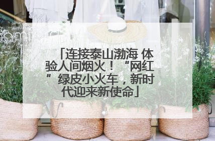 连接泰山渤海 体验人间烟火！“网红”绿皮小火车，新时代迎来新使命