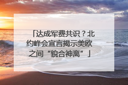达成军费共识？北约峰会宣言揭示美欧之间“貌合神离”