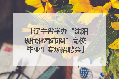 辽宁省举办“沈阳现代化都市圈”高校毕业生专场招聘会