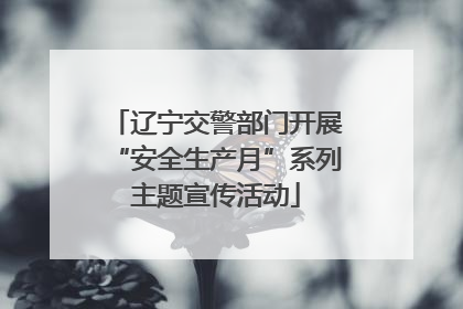 辽宁交警部门开展“安全生产月”系列主题宣传活动