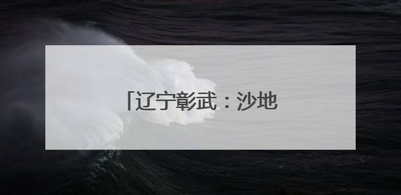 辽宁彰武：沙地治理 造绿生金