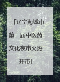 辽宁海城市第一届中医药文化夜市火热开市