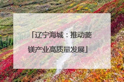 辽宁海城：推动菱镁产业高质量发展