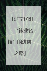 辽宁辽阳：“袜业名镇”的进阶之路