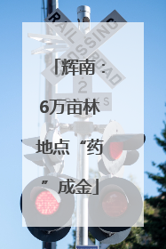 辉南：6万亩林地点“药”成金