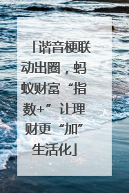 谐音梗联动出圈，蚂蚁财富“指数+”让理财更“加”生活化