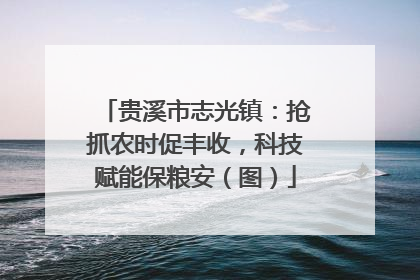 贵溪市志光镇：抢抓农时促丰收，科技赋能保粮安（图）