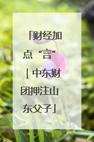 财经加点“言”｜中东财团押注山东父子