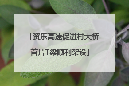 资乐高速促进村大桥首片T梁顺利架设