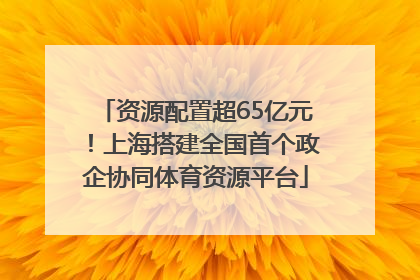 资源配置超65亿元！上海搭建全国首个政企协同体育资源平台