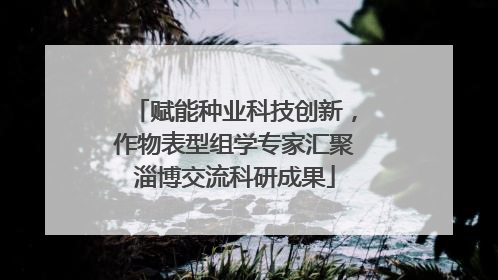赋能种业科技创新，作物表型组学专家汇聚淄博交流科研成果