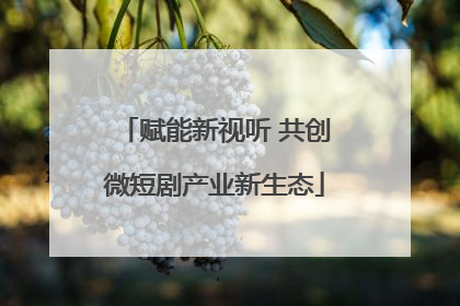 赋能新视听 共创微短剧产业新生态