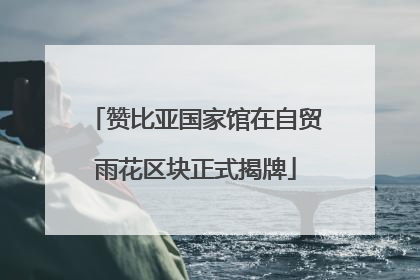 赞比亚国家馆在自贸雨花区块正式揭牌