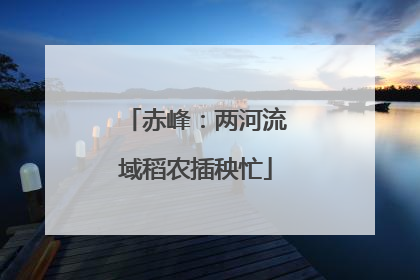 赤峰：两河流域稻农插秧忙