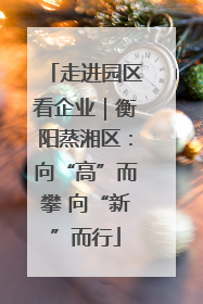 走进园区看企业｜衡阳蒸湘区：向“高”而攀 向“新”而行