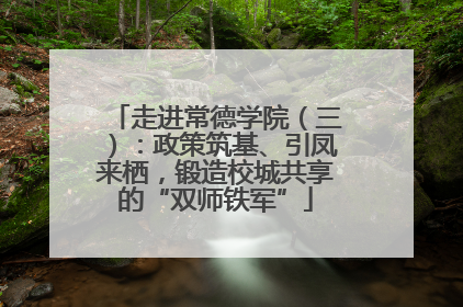 走进常德学院（三）：政策筑基、引凤来栖，锻造校城共享的“双师铁军”