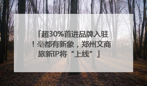 超30%首进品牌入驻！亳都有新象，郑州文商旅新IP将“上线”