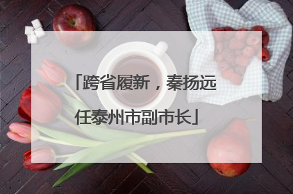 跨省履新，秦扬远任泰州市副市长