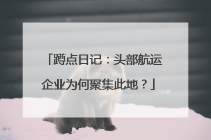 蹲点日记：头部航运企业为何聚集此地？