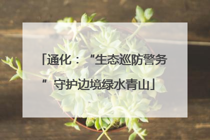 通化：“生态巡防警务”守护边境绿水青山
