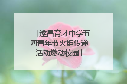 遂昌育才中学五四青年节火炬传递活动燃动校园